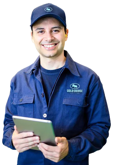 Cold moose Qualified Person