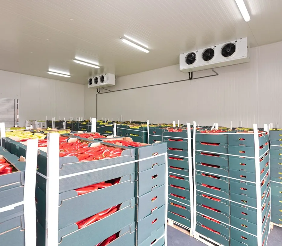 Food Distribution Cold Storage