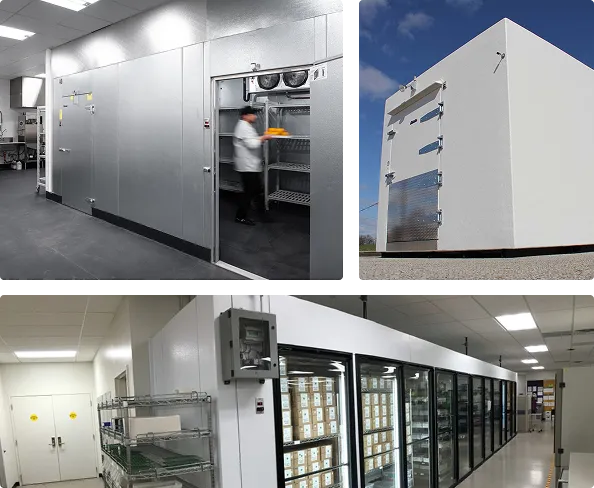 Precision-Controlled Cooling Rooms for Specialized Environments