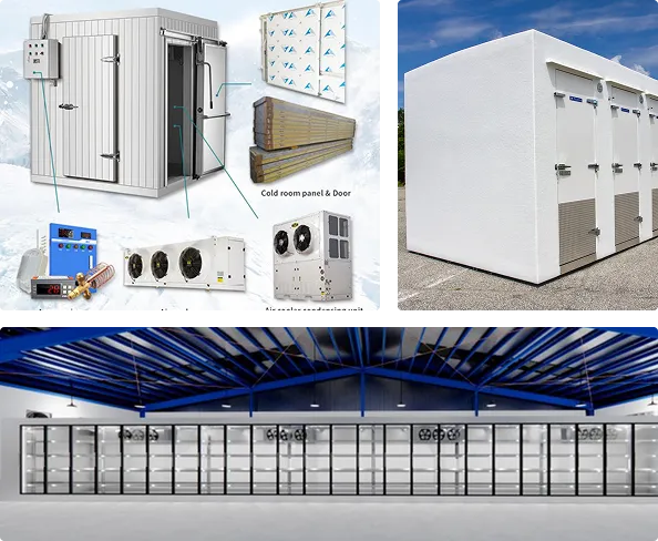 High-Performance Walk-In Freezers for Sub-Zero Commercial Storage