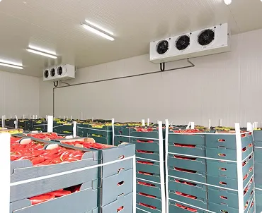 Large-Scale Cold Storage Solutions for Industrial Applications