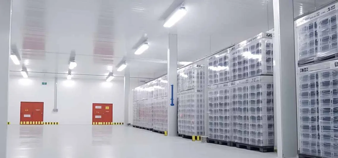  Custom Cold Warehouse Systems for Safe, Energy-Efficient Storage