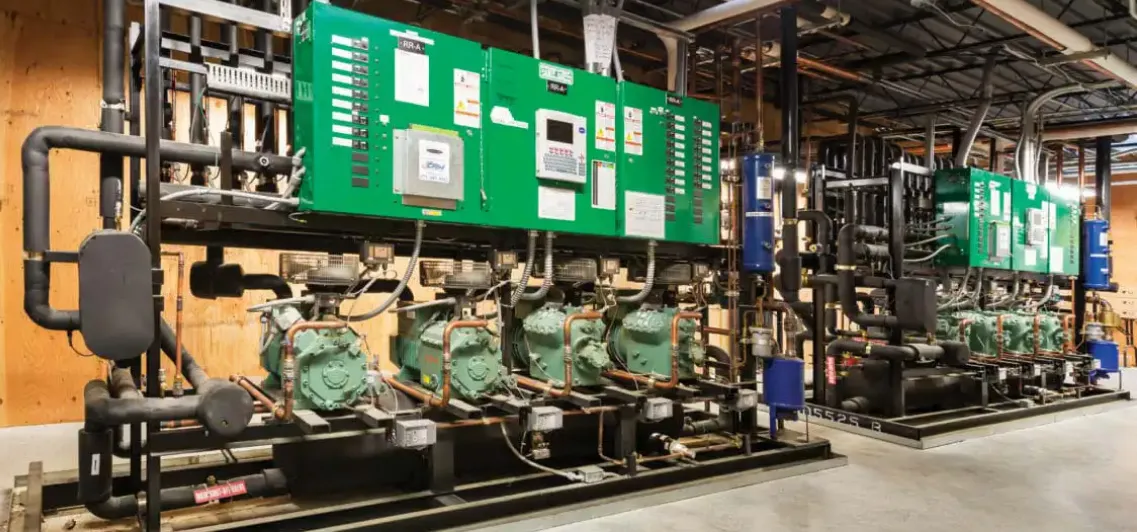 Cut Energy Costs with Cold Moose’s High-Efficiency Refrigeration Systems