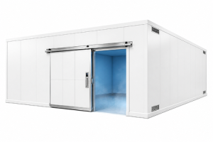 20′ x30′x10′-5″H_Drive-In_Freezer