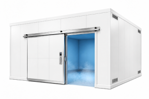 20′x20′x12′-5″H_Drive-In_Freezer
