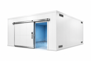 20′x30′x12′-5″H_Drive-In_Freezer