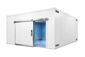 20′x30′x16′-5″H_Drive-In_Freezer