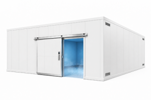 20′x30′x20′-5″H_Drive-In_Freezer