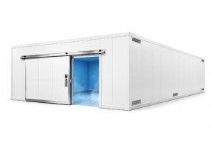 20′x40′x10′-5″H_Drive-In_Freezer